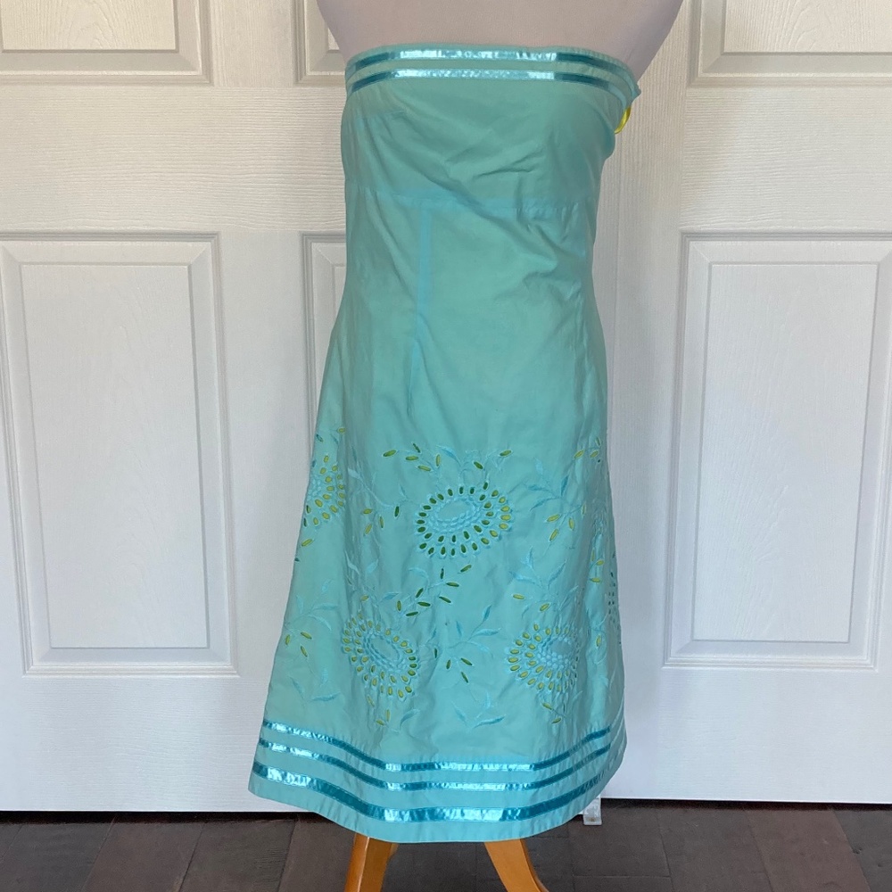 Express Light Green 6 Dress Strapless